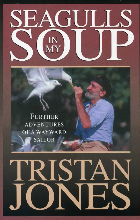 Cover of Seagulls in My Soup