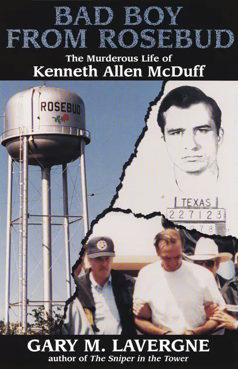 Cover of Bad Boy from Rosebud