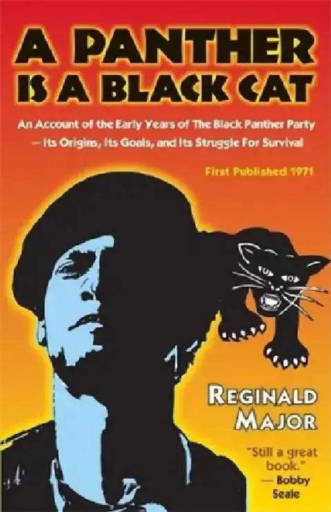 Cover of A Panther Is a Black Cat