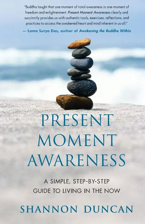 Cover of Present Moment Awareness
