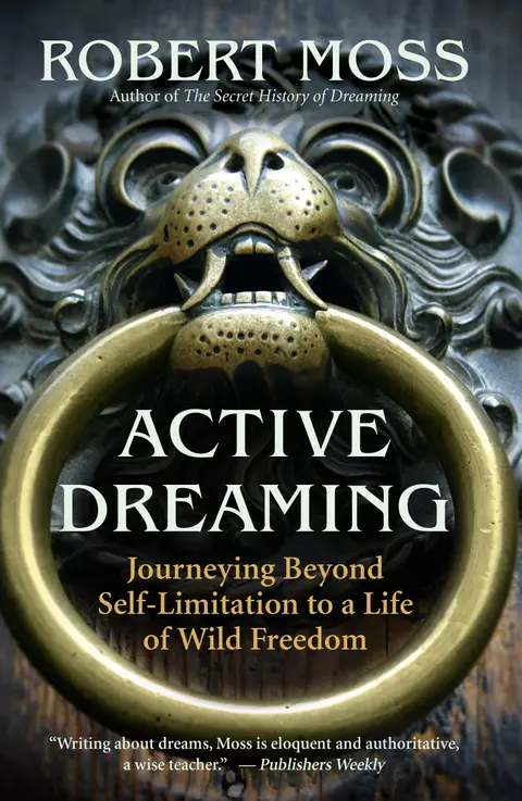 Cover of Active Dreaming