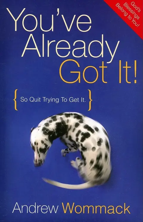 Cover of You've Already Got It!