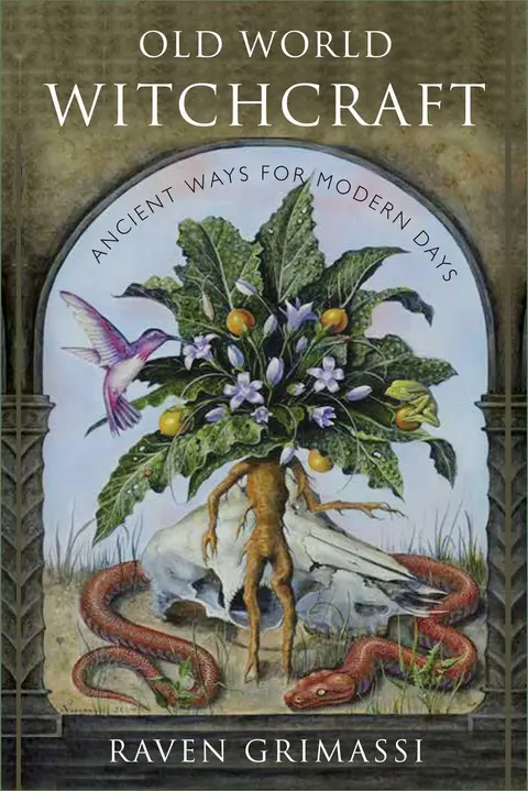 Cover of Old World Witchcraft