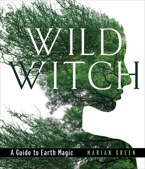 Cover of Wild Witch