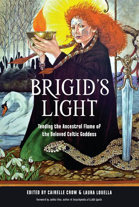 Cover of Brigid'S Light