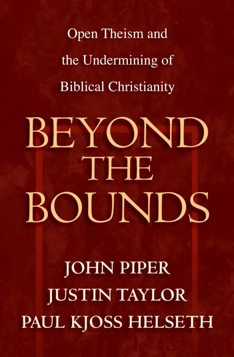 Cover of Beyond the Bounds