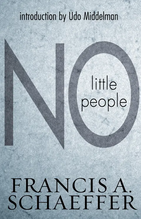 Cover of No Little People