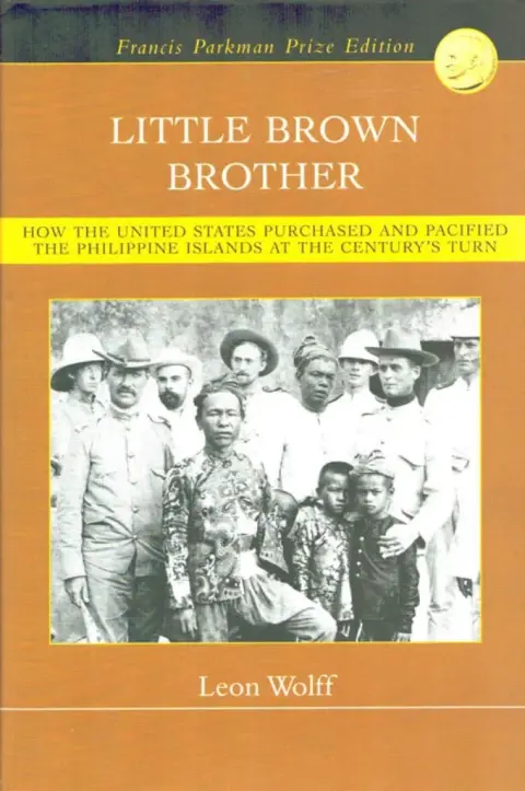 Cover of Little Brown Brother