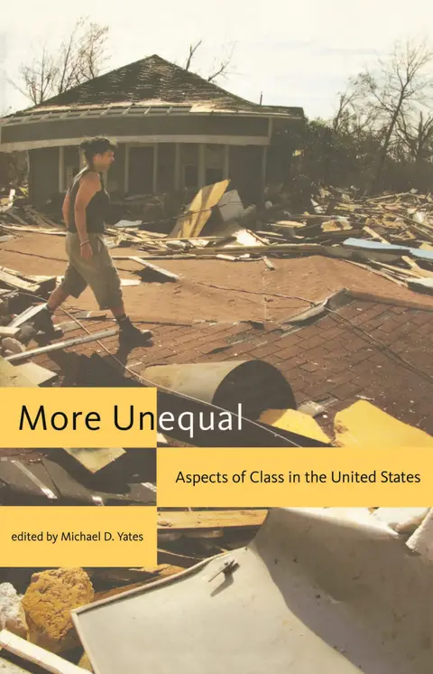 Cover of More Unequal