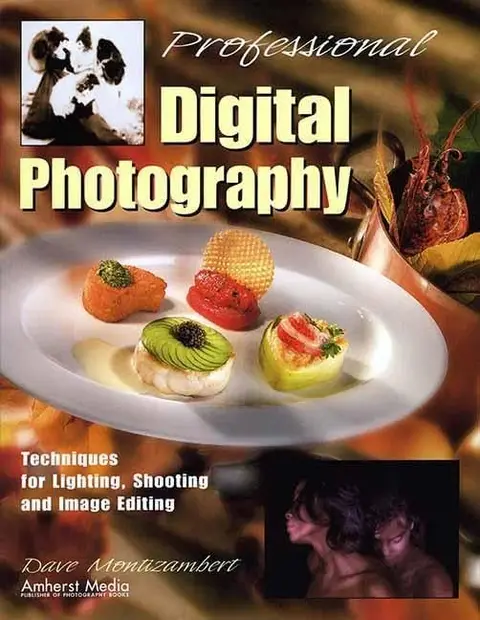 Cover of Professional Digital Photography