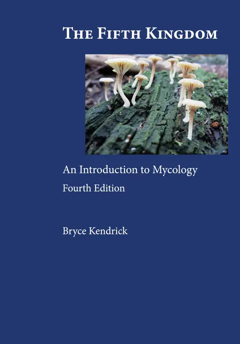 Cover of The Fifth Kingdom