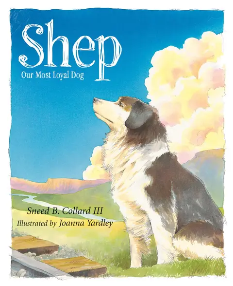 Cover of Shep