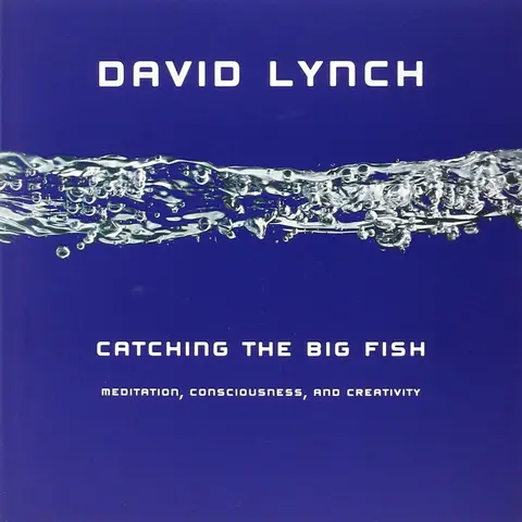 Cover of Catching the Big Fish