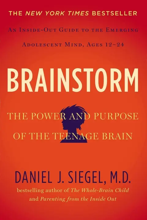Cover of Brainstorm