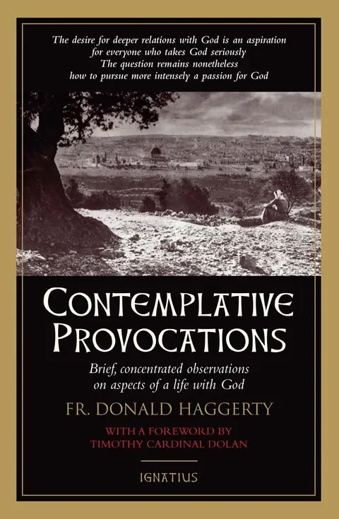Cover of Contemplative Provocations