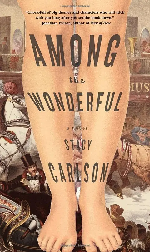 Cover of Among the Wonderful