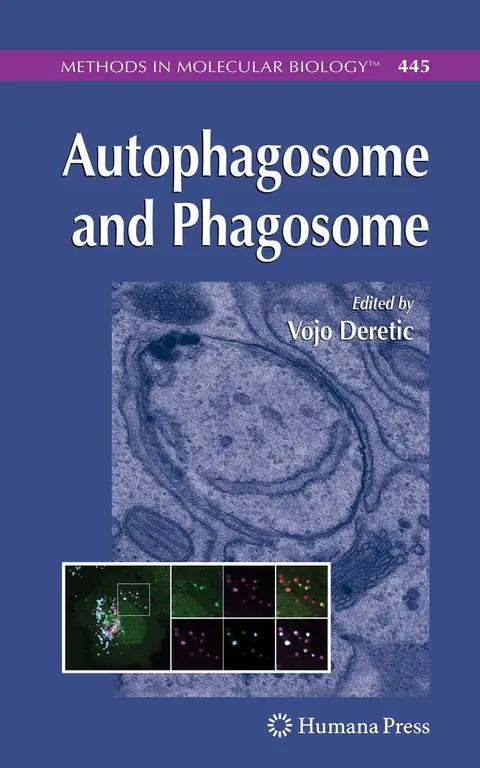 Cover of Autophagosome and Phagosome