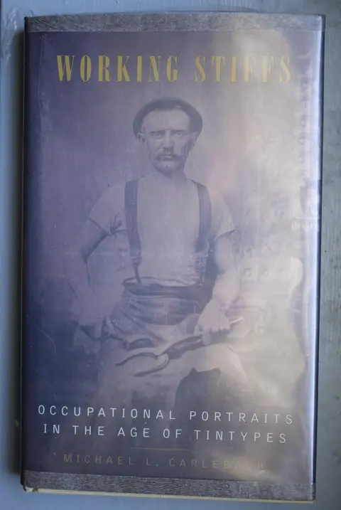 Cover of Working Stiffs