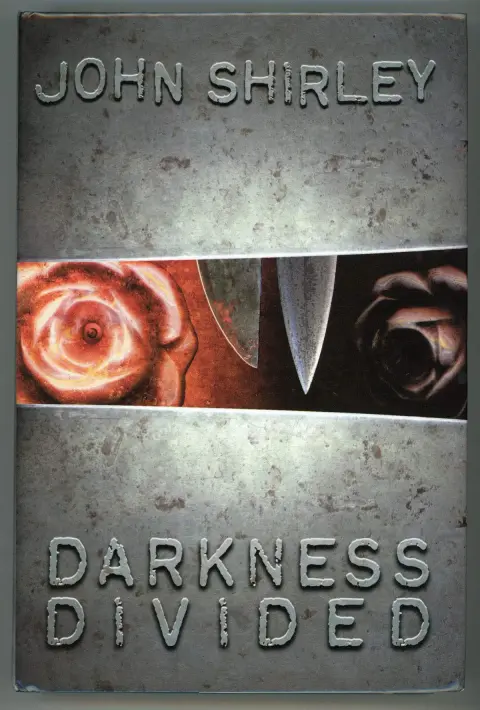Cover of Darkness Divided