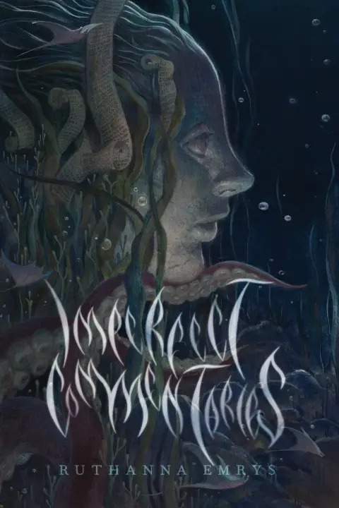 Cover of Imperfect Commentaries
