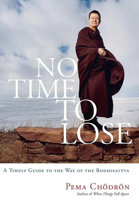 Cover of No Time to Lose