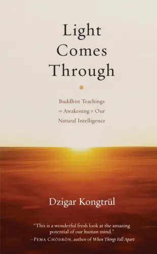 Cover of Light Comes Through