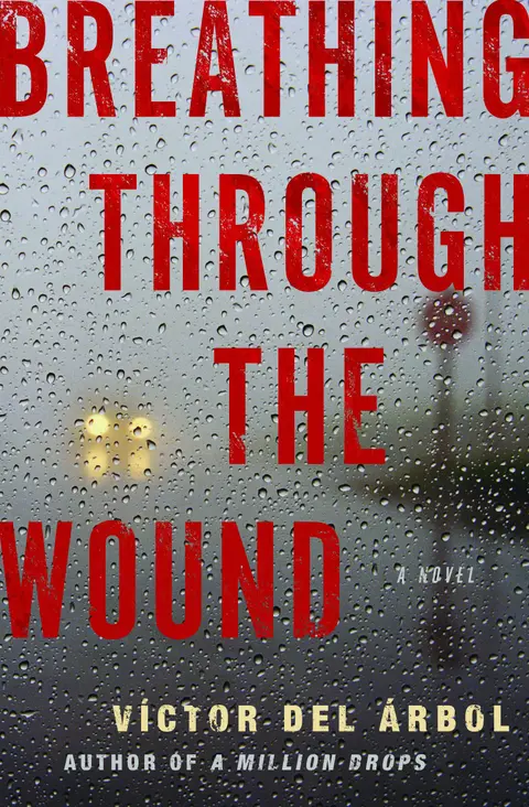Cover of Breathing Through the Wound