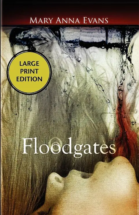 Cover of Floodgates