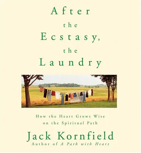 Cover of After the Ecstasy, the Laundry
