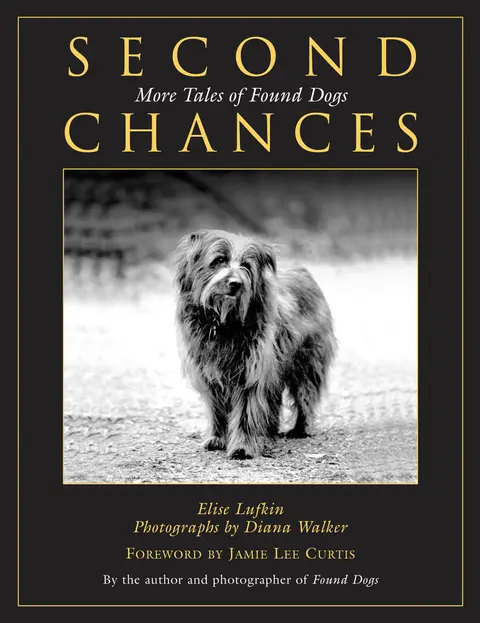 Cover of Second Chances