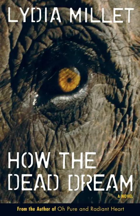 Cover of How the Dead Dream