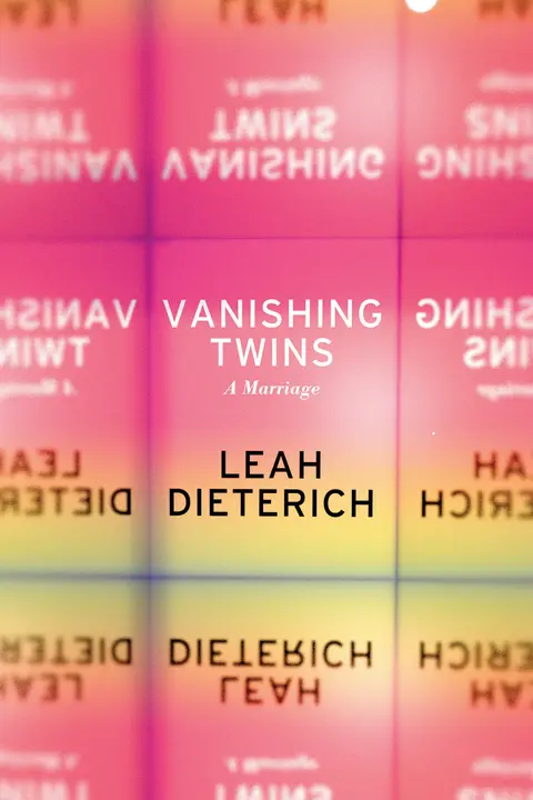 Cover of Vanishing Twins