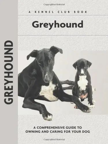 Cover of Greyhound