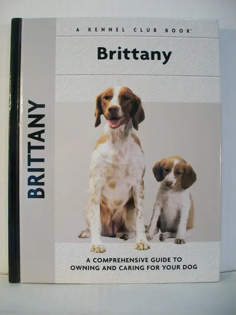 Cover of Brittany