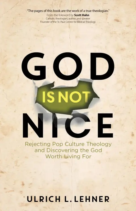 Cover of God Is Not Nice