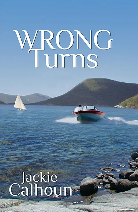 Cover of Wrong Turns