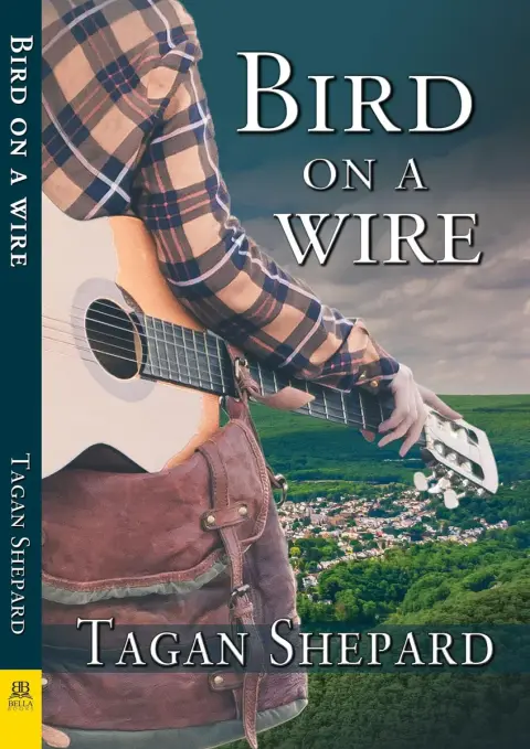 Cover of Bird on a Wire