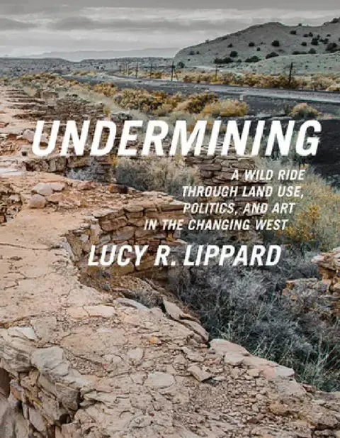 Cover of Undermining