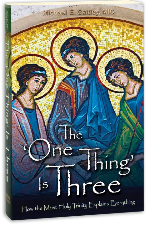 Cover of The One Thing Is Three