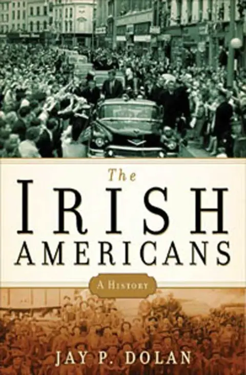 Cover of The Irish Americans