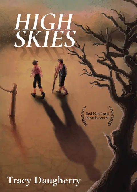 Cover of High Skies