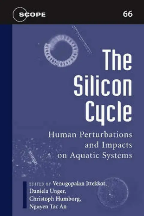 Cover of The Silicon Cycle
