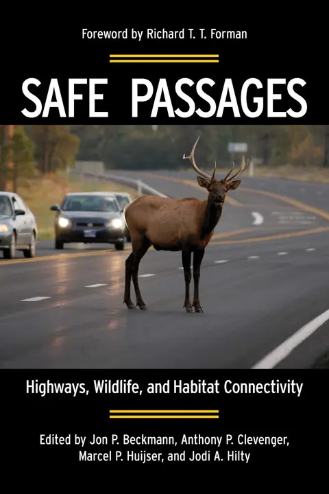Cover of Safe Passages