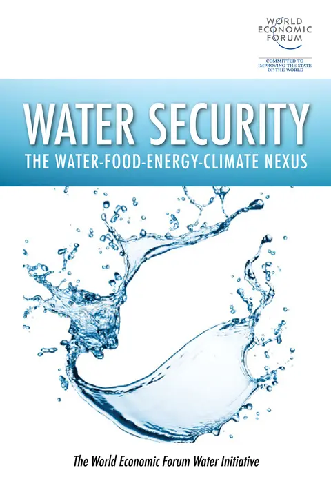 Cover of Water Security