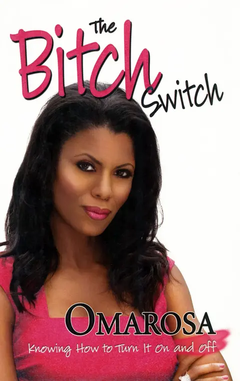 Cover of The Bitch Switch