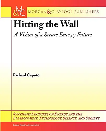 Cover of Hitting the Wall