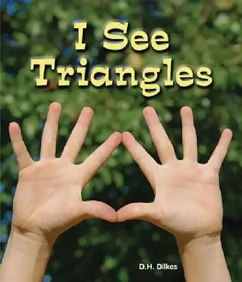 Cover of I See Triangles