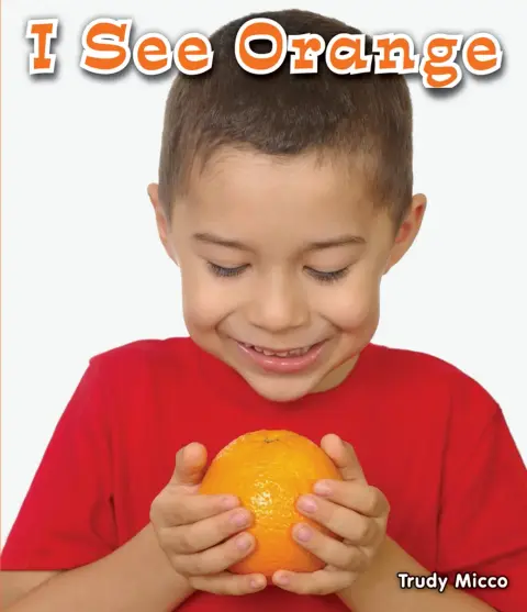 Cover of I See Orange