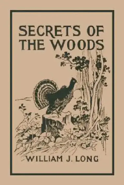 Cover of Secrets of the Woods (Yesterday's Classics)