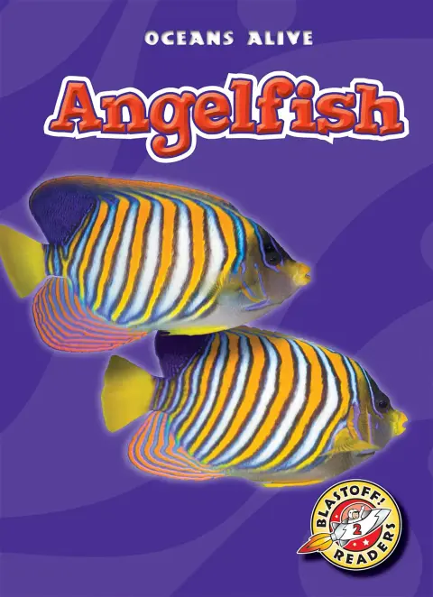 Cover of Angelfish